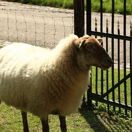 Welsden Dertien
