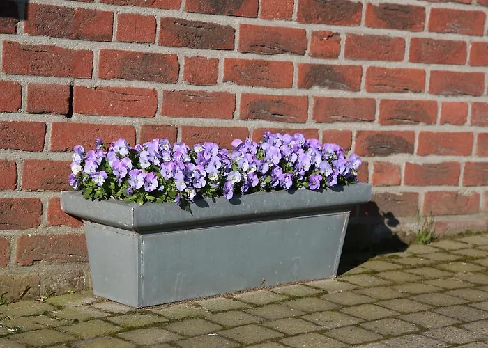 Welsden Dertien Margraten