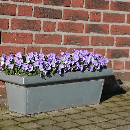 Welsden Dertien Margraten