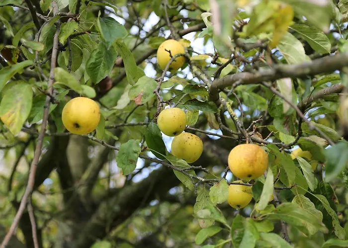 Welsden Dertien Alojamento de Acomodação e Pequeno-almoço Margraten